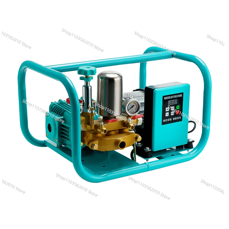 220v Electric Sprayer High Pressure Punch for Agricultural Use Pesticide Sprayer Spray Machine Wash the Car Irrigation