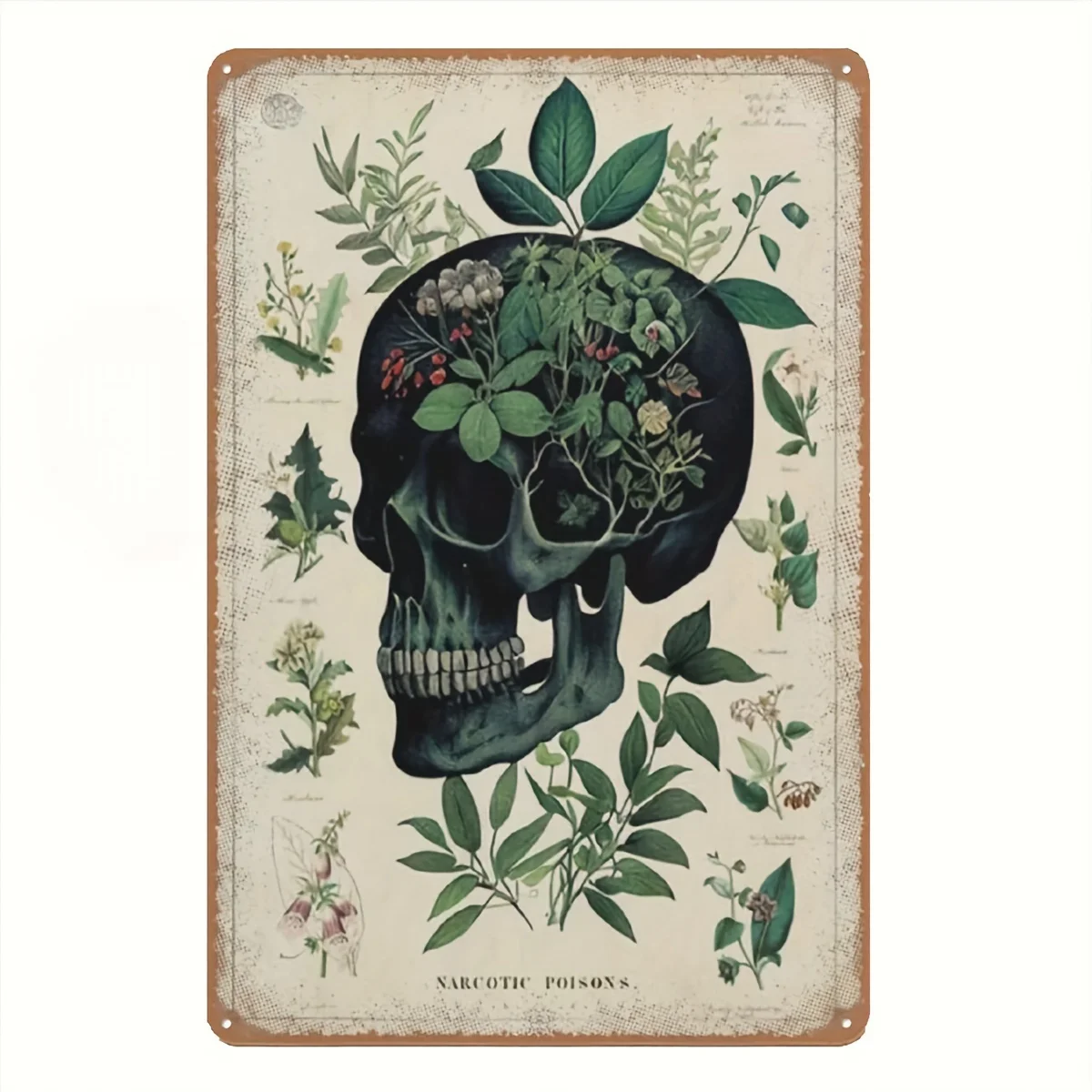 

1pc Vintage Poisonous & Psychoactive Plants Metal Sign - 8x12 Inch Botanical Wall Art for Man Cave, Bar, Home Decor - Unique