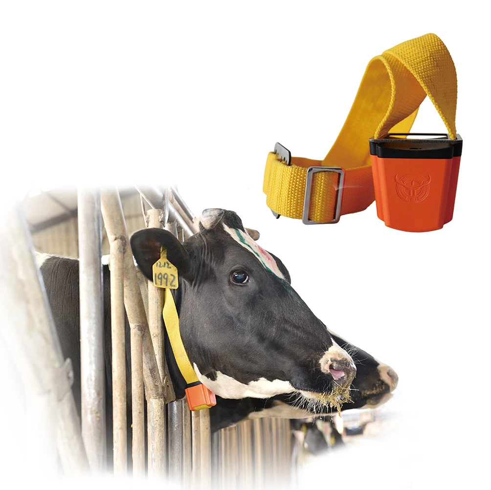 

Detecting Bovine Estrus Assessing Bovine Health Status Integrating Biological Intelligent Data Bovine Collars