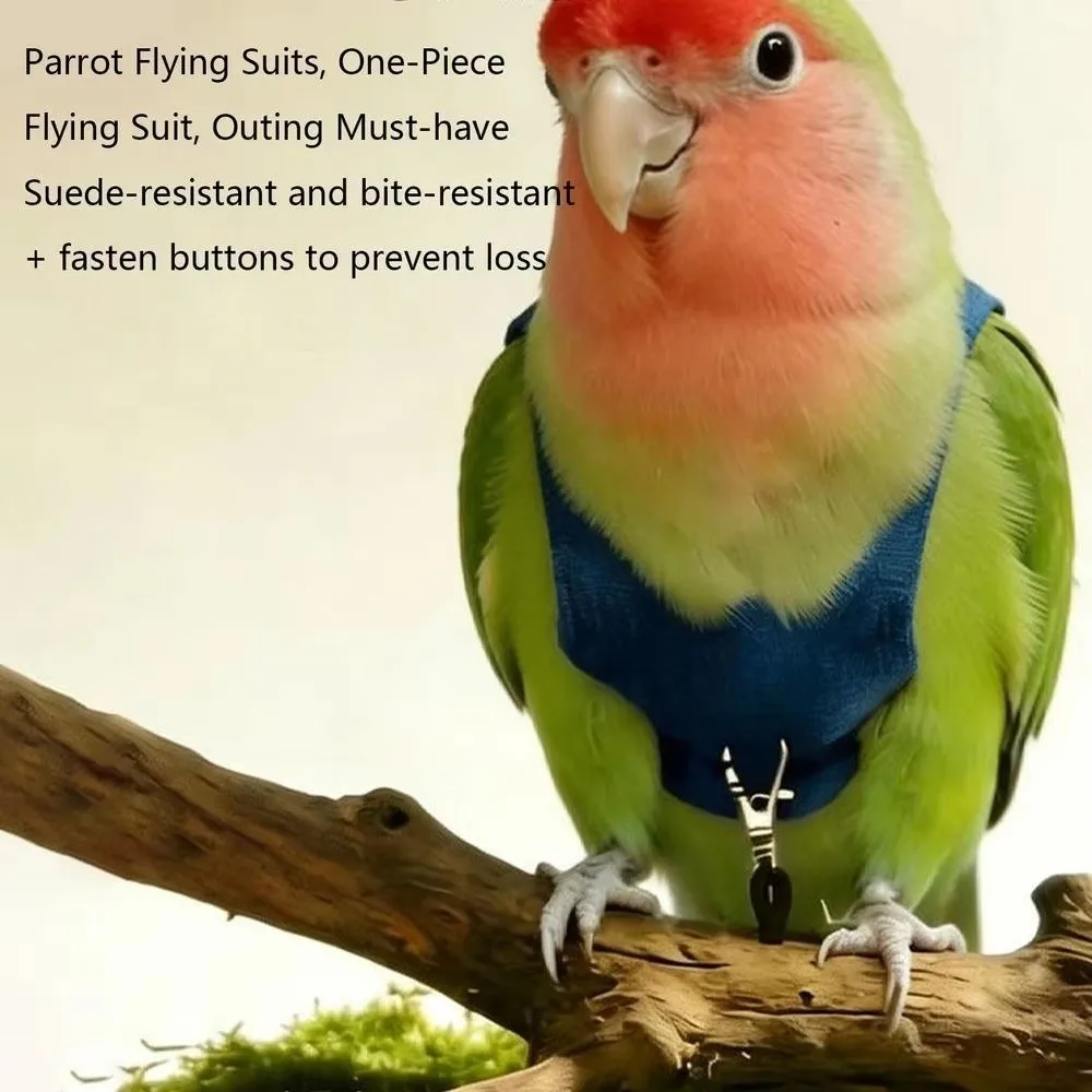Vogelgeschirr in Sittichgröße, verstellbares Seilmaterial, Flugtrainingsseil, leichte, atmungsaktive Vogelleine für Spaziergänge im Freien – Detail 4