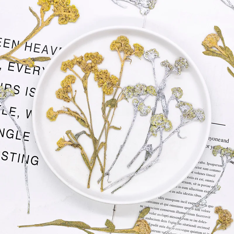 12 Stück, gefärbte gepresste Kreuzkresse-Blumen, getrocknete Pflanzen, DIY-Material für Harz, Lesezeichen, Scrapbooking, Kartenherstellung, Bastelzubehör – Detail 3