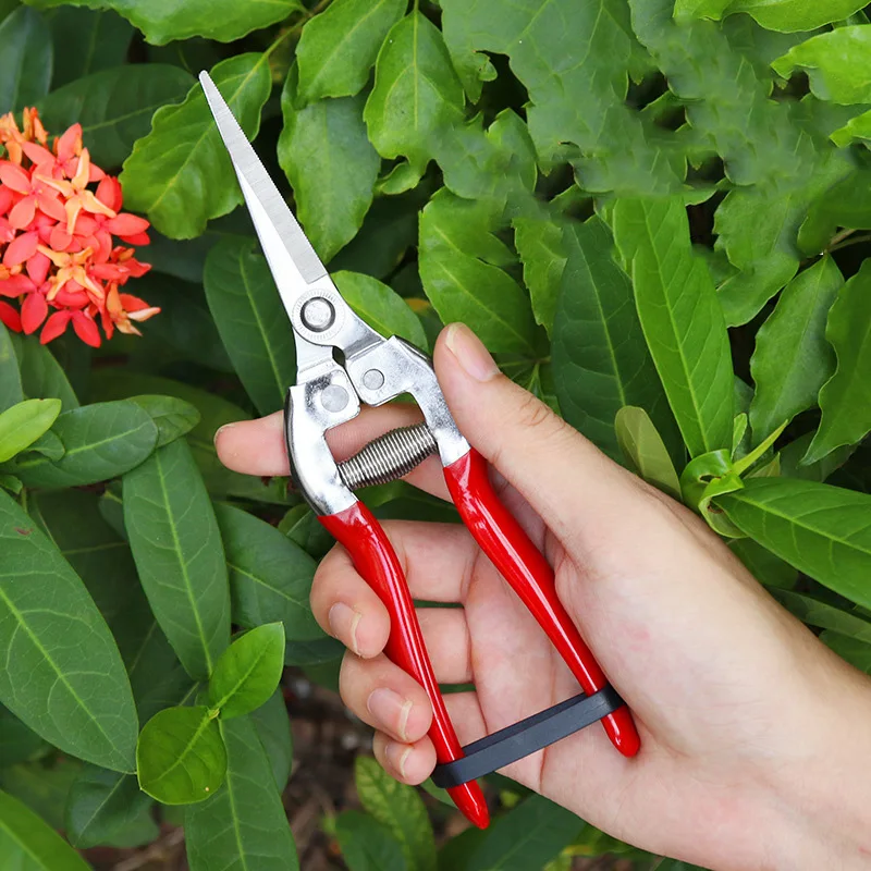 

21-Inch High Carbon Steel Pruning Shears – Straight Head, Sharp Blade, Dipped Plastic Handle | Ideal for Garden & Household Use