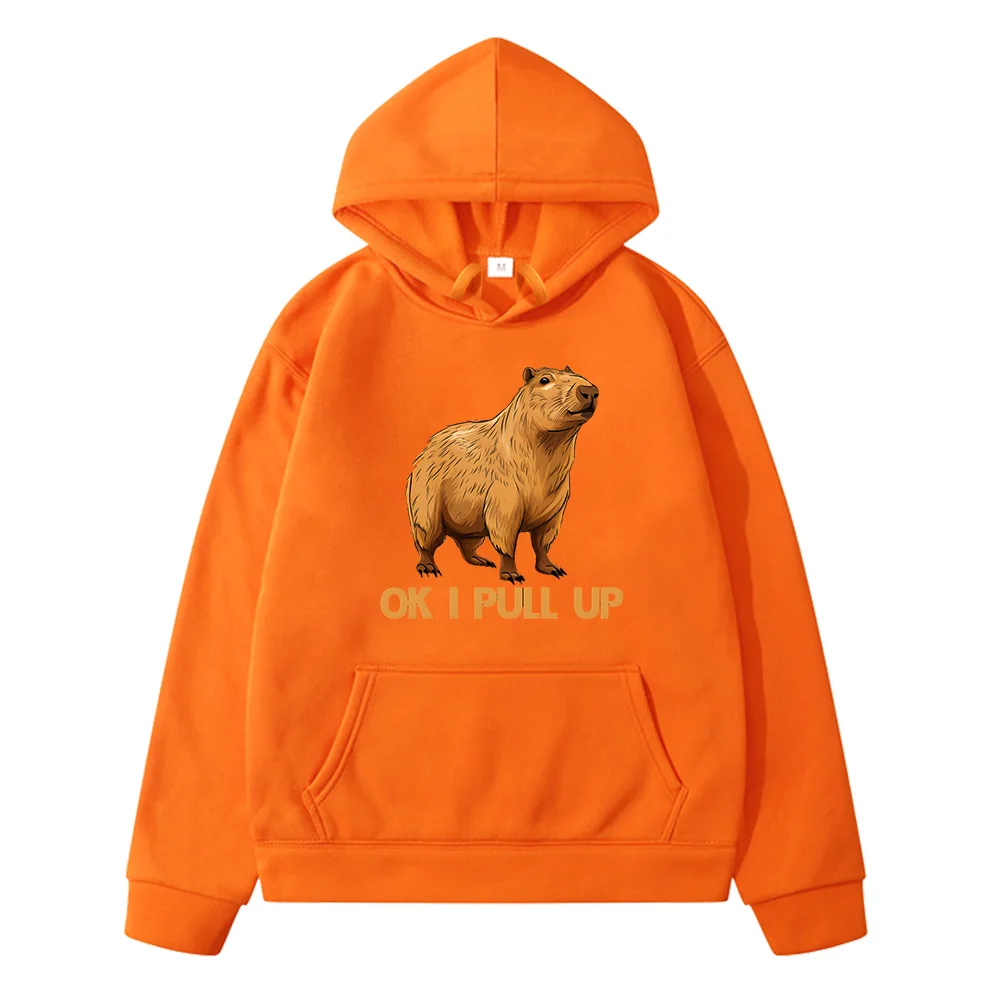 Kawaii Capybara Ok L Pull Up Kids Clothes Boys 9 To 14 Years Harajuku Winter 2024 Pullovers Girls Hoodies Female Vintage Outfits