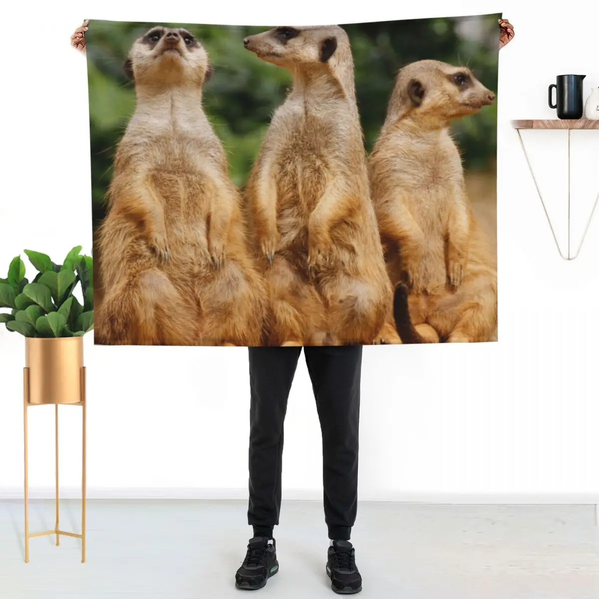 Meerkat 074 Throw Blanket manga bed plaid Summer blankets and throws sofa bed halloween Blankets