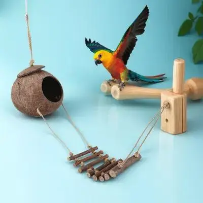 

Decorative Reptile Hideout Ladder Cocount Shell Shelter Small Natural Reptile Hide Cave Terrarium Ornament Lizard Hide Place