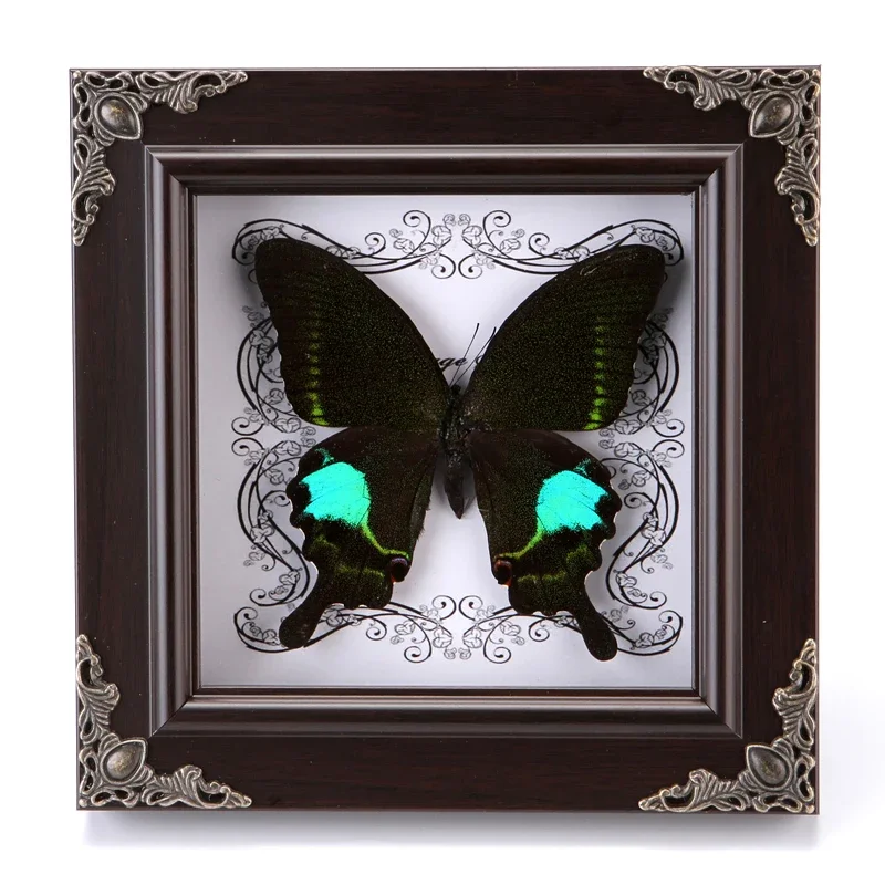 Real Butterfly Specimen Picture Frame European And American style Decorative Painting DIY Antique Home Decoration Crafts