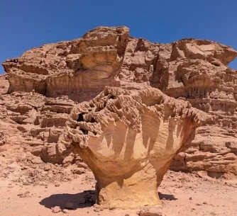 Medical Equipment Surgery Lamps Shadowless Wall Mounted Single Arms Operating Light Lamp OT Lights
