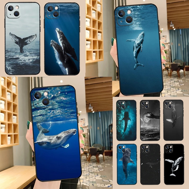 Ocean Whale Shark W… - image