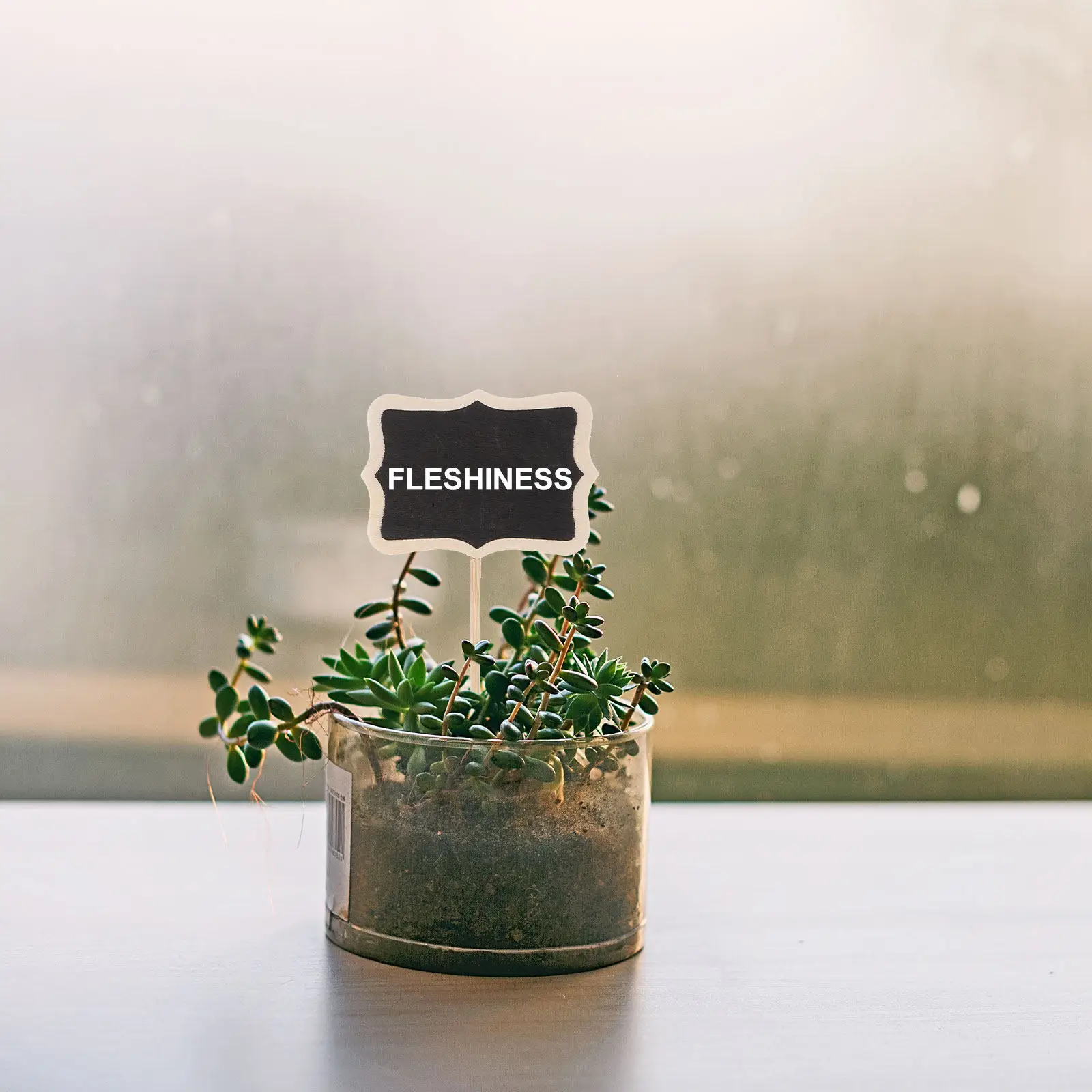 20Pcs Mini Wooden Chalkboards Garden Blackboard Signs Chalkboard Picks for Flower Pot Decorations Gardening Topper Message