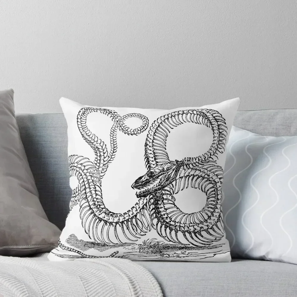 

Vintage Boa Constrictor Snake Skeleton Illustration Retro 1800s Black and White Snakes Throw Pillow