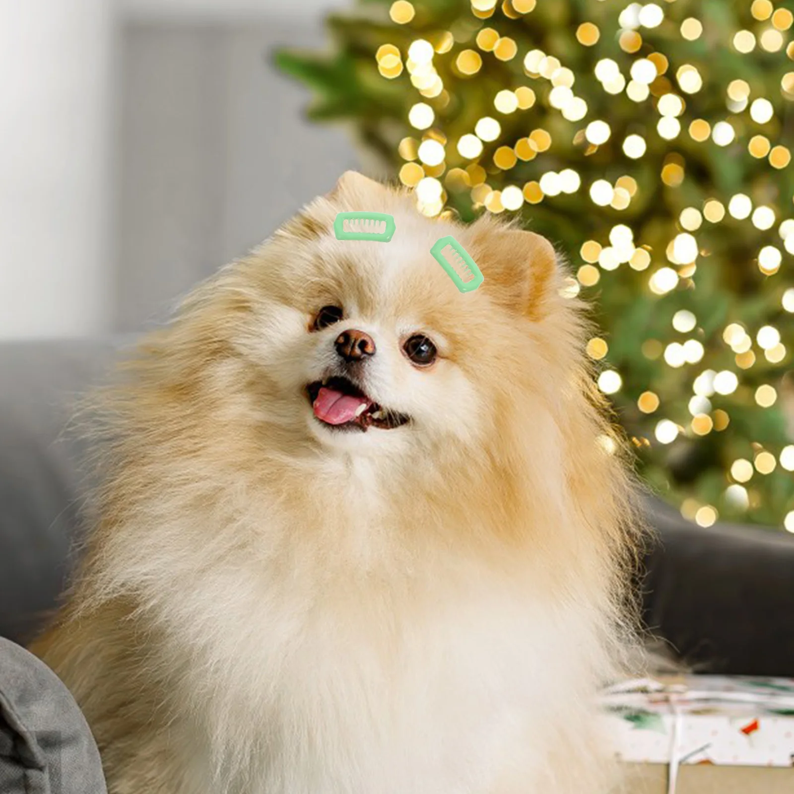 

5pcs Dog Headwear Pet Hair Clips Cat Accessories Grooming Barrettes Small Animal Stylish Versatile