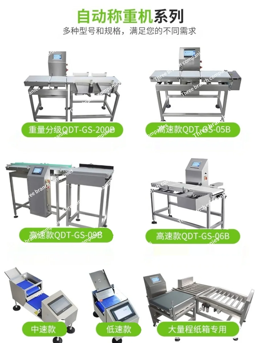 High-Precision Automatic Dynamic Checkweigher Weighing Machine