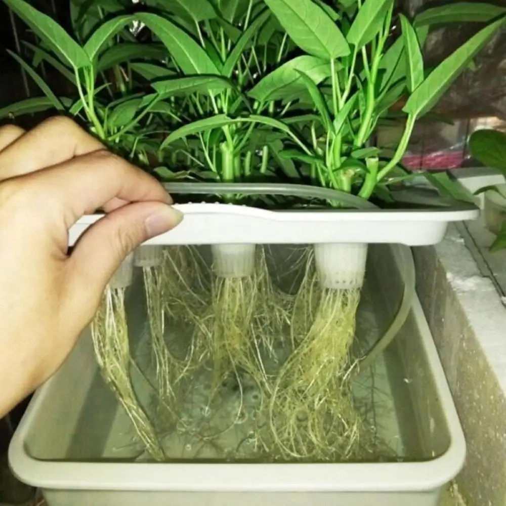 Indoor Hydroponic Grow Kit 1