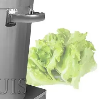 Vegetable Dehydrator Electric Quick Cleaning Dryer Fruit And Vegetable Dry And Wet Separation Draining Salad Spinner Machine