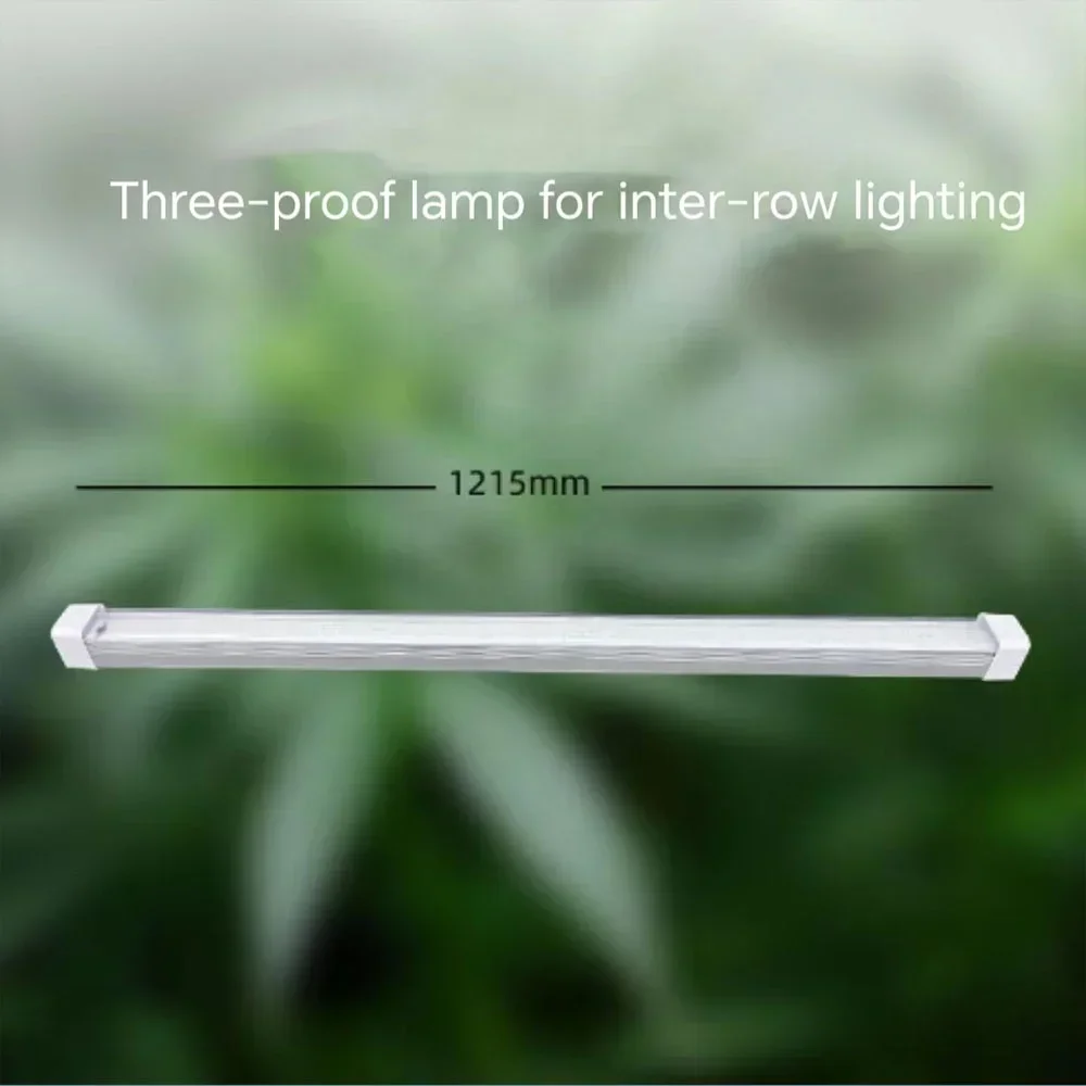 Luz LED para interplanta, 100W, estante de luz para crecimiento de plantas, lámpara para cultivo de tejidos, tubo, raíz de plántulas vegetales