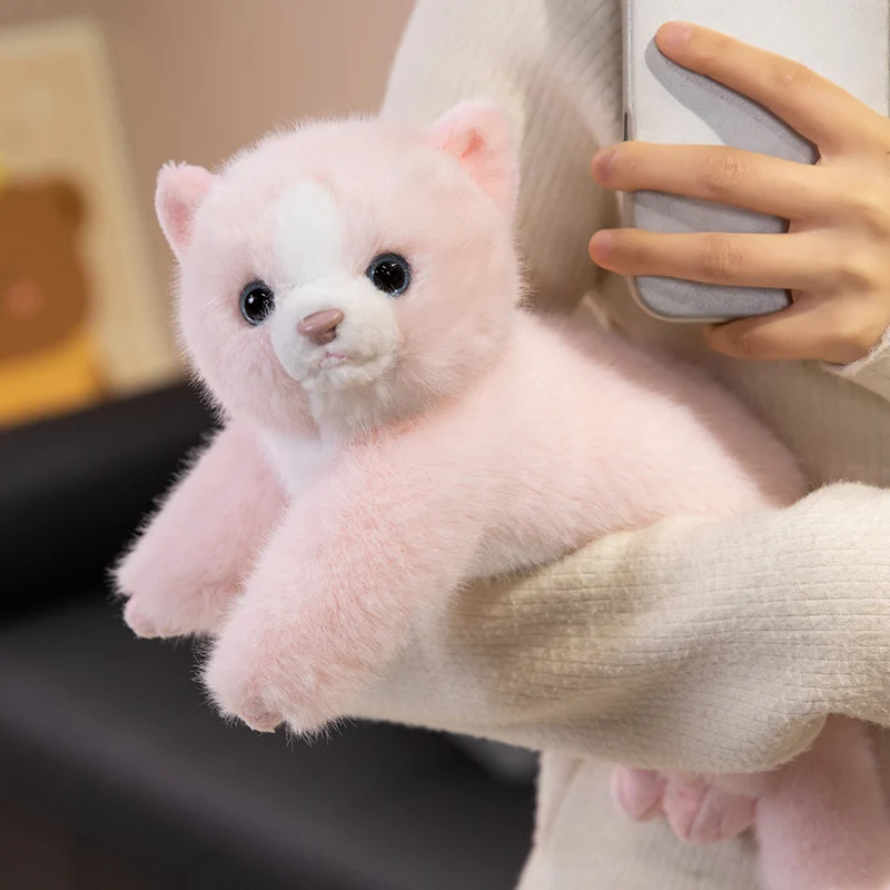 35 سنتيمتر Kawaii القط ألعاب من نسيج مخملي وسادة لينة محشوة الحيوان القط بلوشي دمية عيد ميلاد هدية الكريسماس للأطفال ديكور المنزل #4