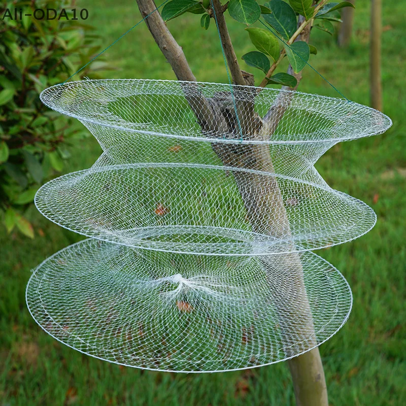

Three Circles Of White Shrimp Fishing Nets Lobster Fishing Nets Folding Simple Crab And Fish Cages Fish Bags Fishing Nets