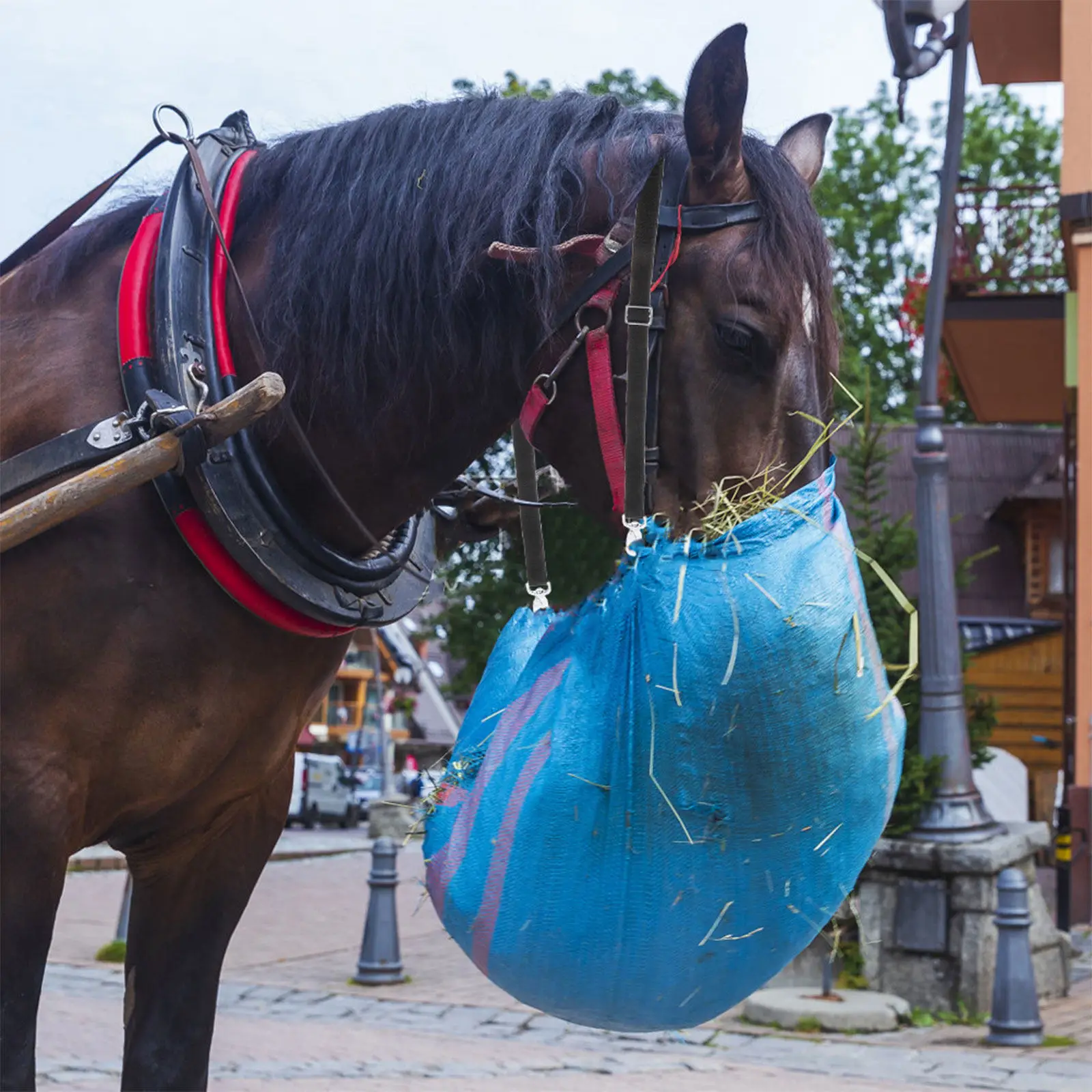 2Pcs Sturdy Adjustable Nylon Fixed Strap Horse Feeding Bag Rope Hay Net Hanging Rope Outdoor Stable Water Bucket Hanger