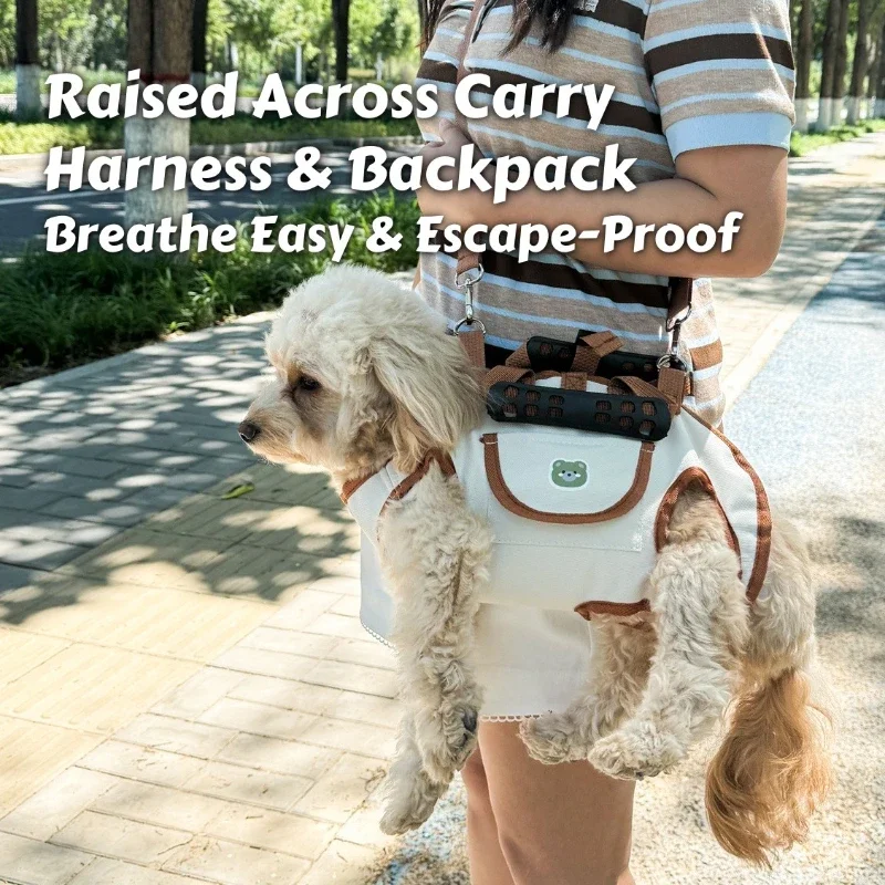 #33 Trending Dog Harnesses Right Now