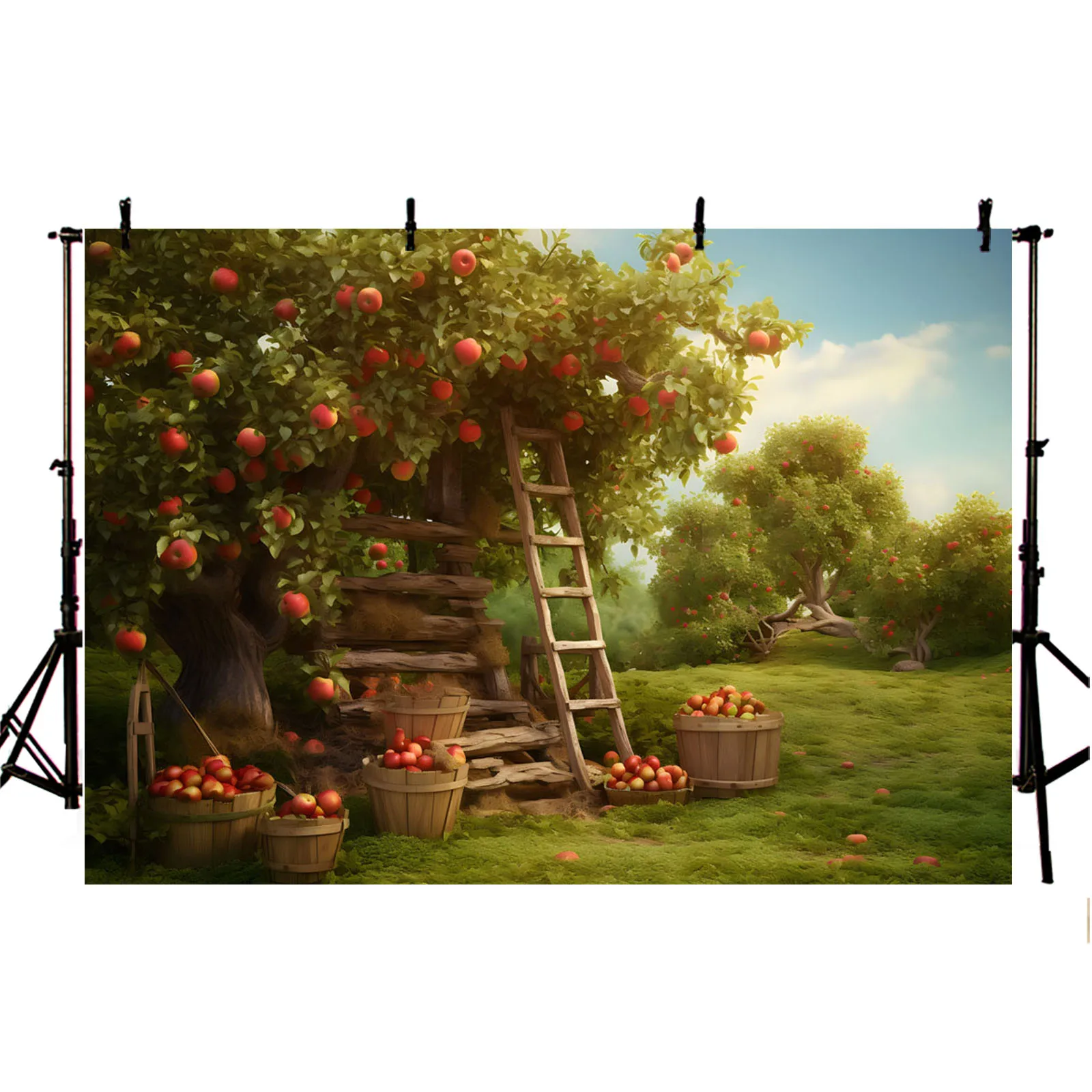 Avezano Photography Background Apple Tree Paradise Autumn Harvest Baby Shower Party Decor Backdrop Kids Portrait Photozone Props