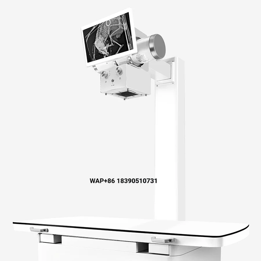 Vet DR Dynamic Digital X-ray Imaging System CE Certified Level II 1 Year Warranty 32KW 110V/220V for Veterinary Pet Care