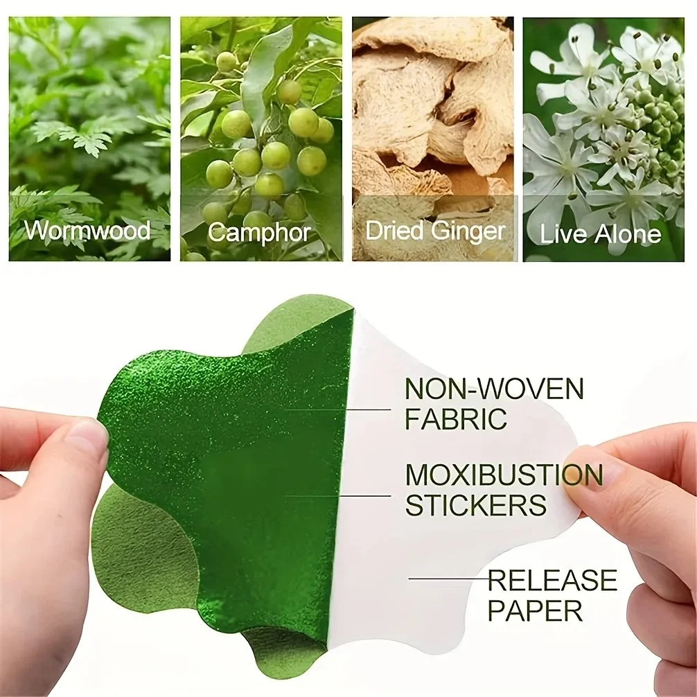 12pcs Herbal Heat Patches: Long-Lasting for Arthritis, Inflammation & Back Pain! image 2