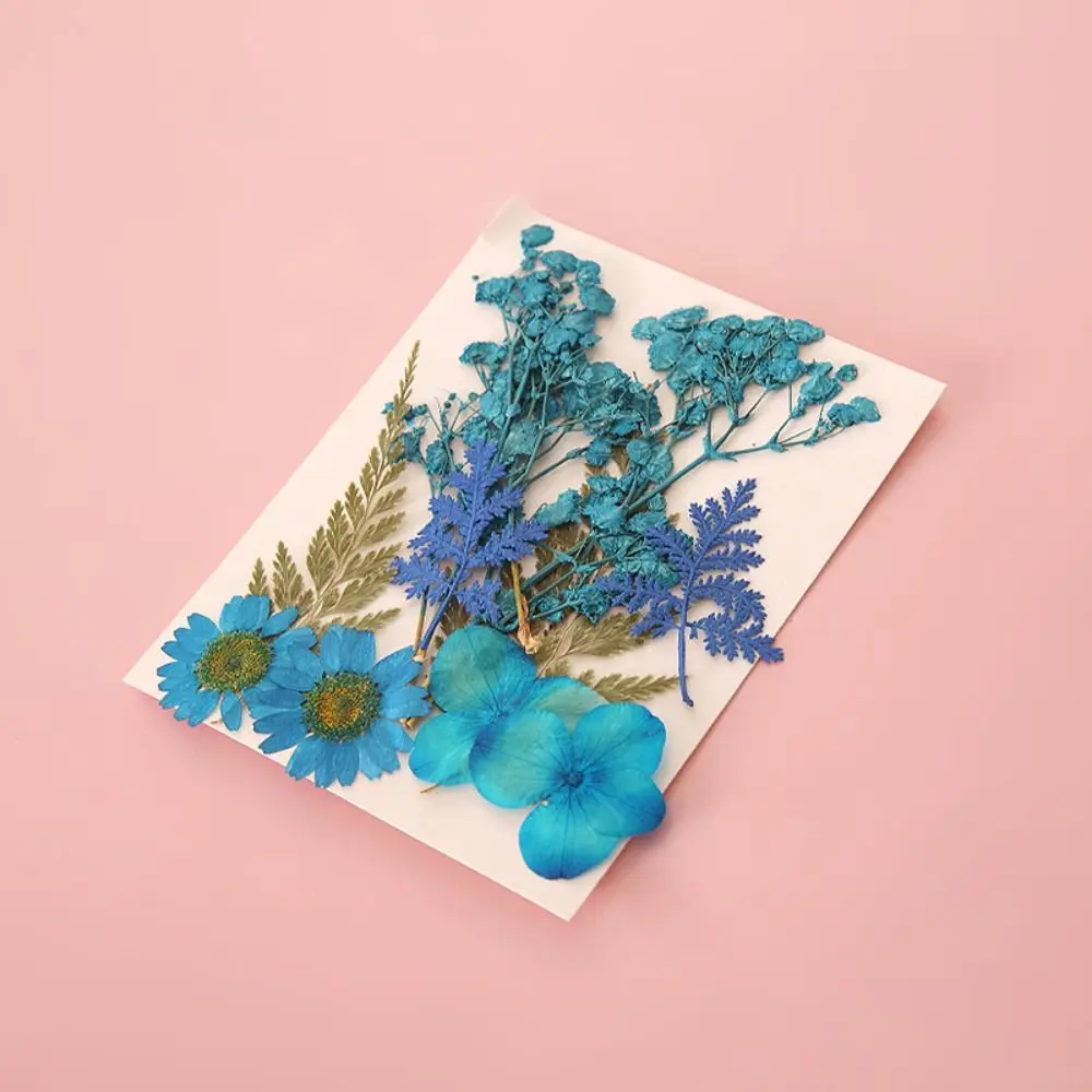 PET Decorative Stickers Transparent Bookmark Stickers Multipurpose Scrapbook Decor Stickers Set DIY Dried Flower Specimen