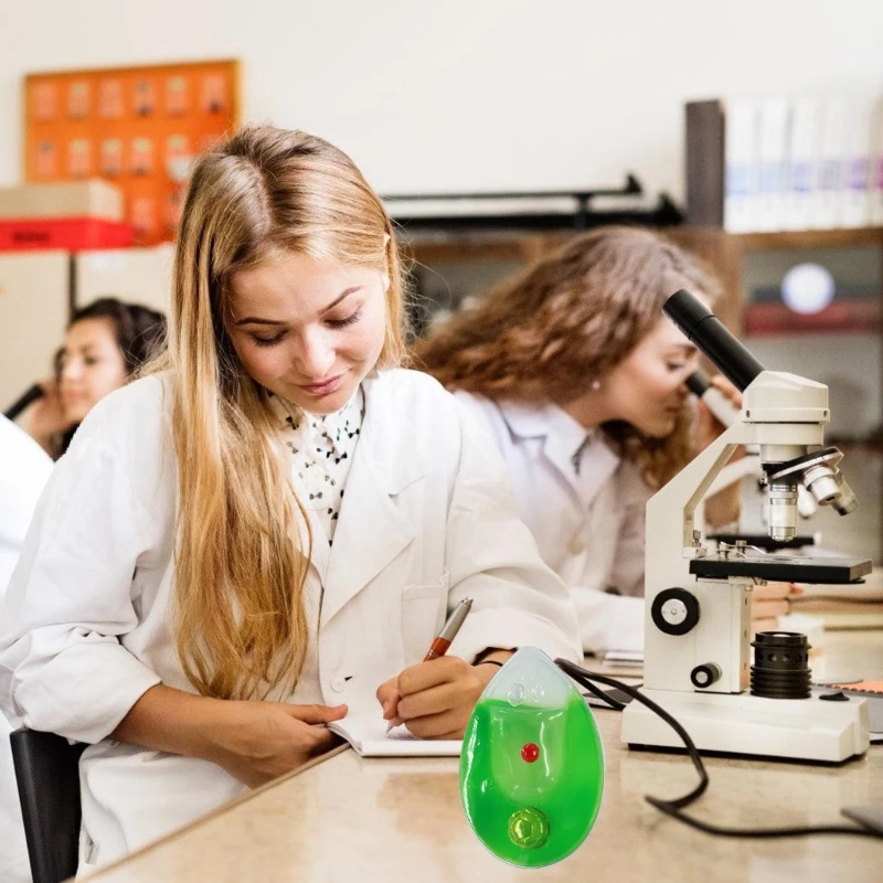 Single Cell Plant Anatomical Model Chlamydomonas Model for School Teaching