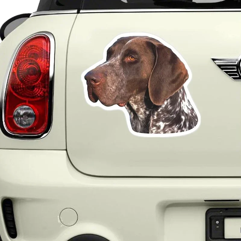 Car Sticker Various Sizes Decal German Shorthaired Pointer Car Sticker Waterproof on Bumper Rear Window Laptop Refrigerator