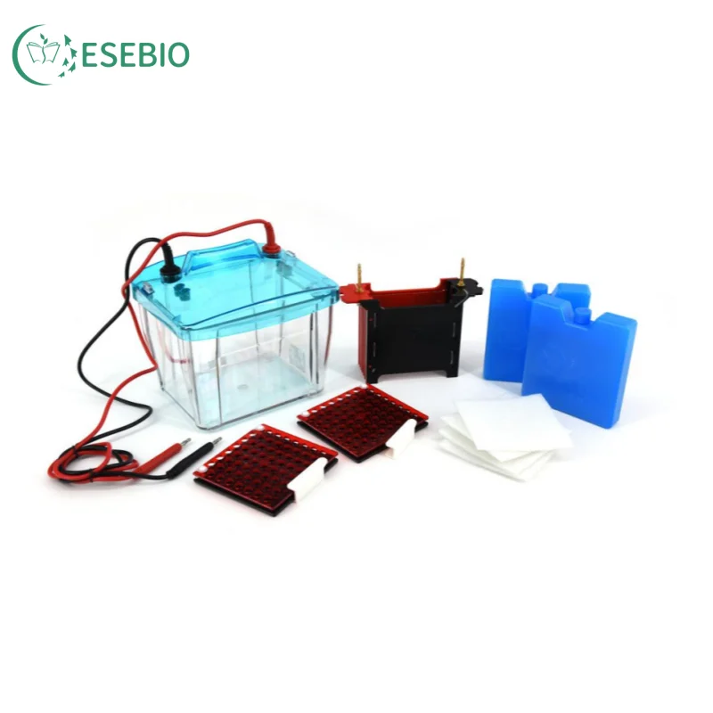 lab industrial electrolytic cell rapid gel electrophoresis equipment for Lab