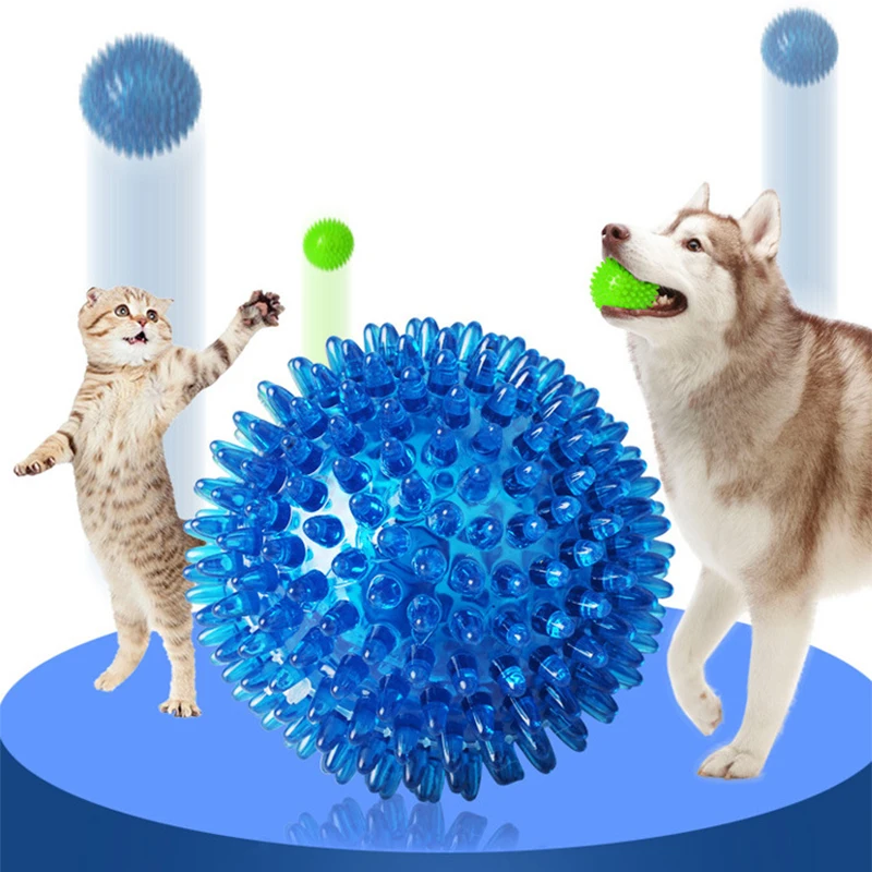 Haustier Hund Spielzeug Katze Welpen Sounding Spielzeug Polka Quietschende Zahn Reinigung Ball TPR Training Haustier Zähne Kauen Spielzeug Dorn Bälle Zubehör