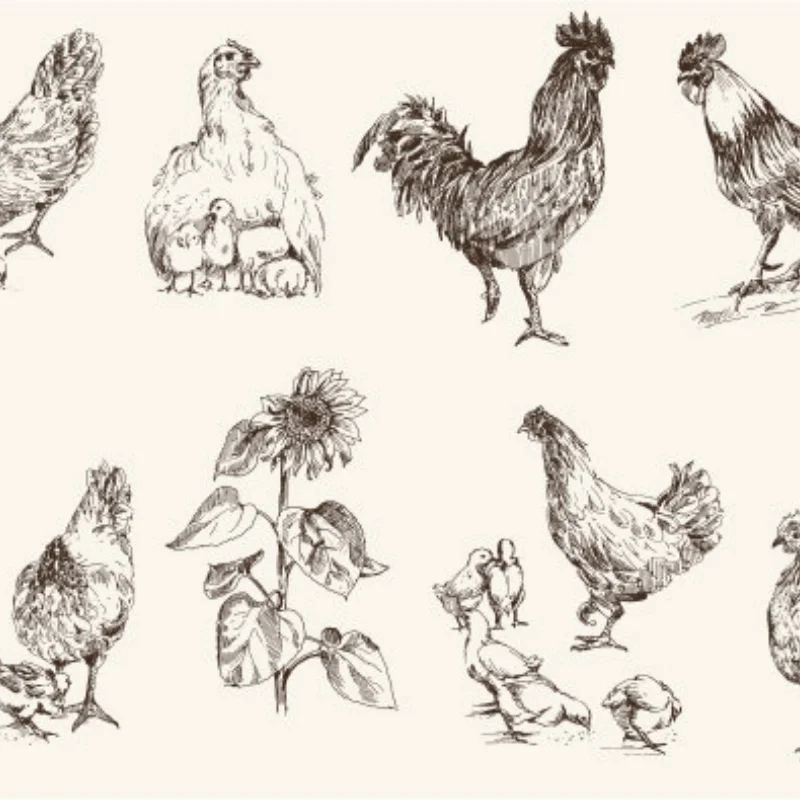 Metalowa osłona podwozia, płyta ochronna, akcesoria i części zamienne do tuningu samochodów RC 1/7 KKPIT KRT XNR Xuan Niao