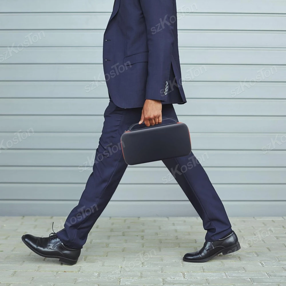 Custodia portatile per microfono wireless Custodia da trasporto compatibile con il sistema wireless JBL a due microfoni per microfono Karaoke