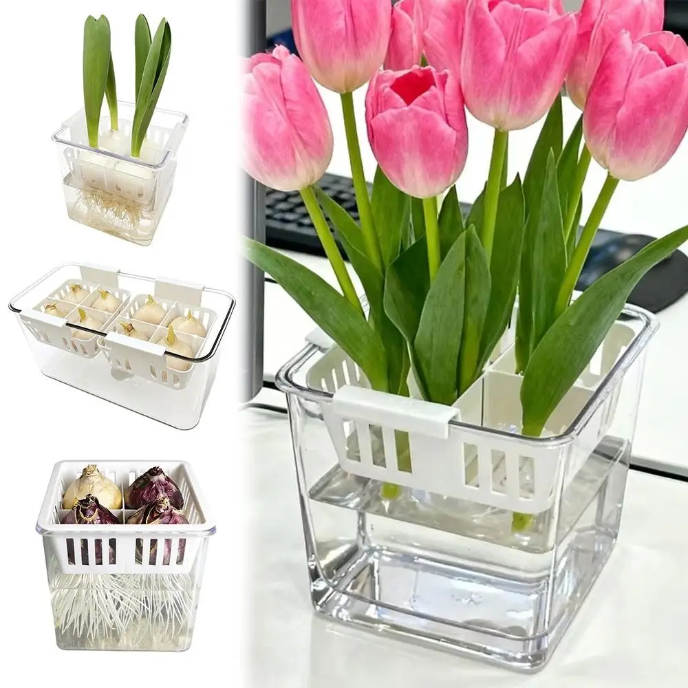 

Акриловые гидропонные контейнеры прозрачные с дышащей подставкой-корзинкой, гидропонный горшок для тюльпанов, декор для дома