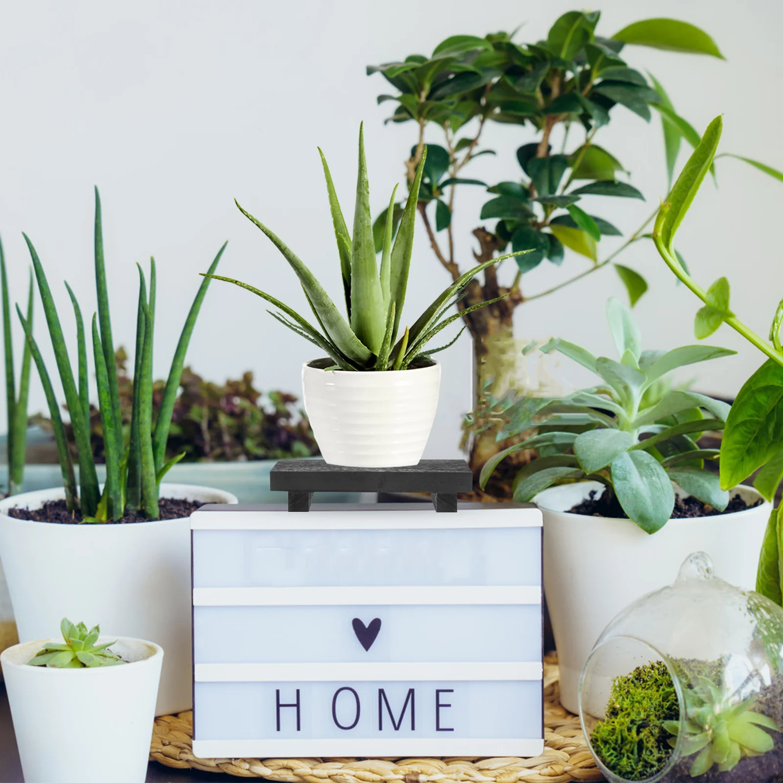 

1pc Wooden Flower Pot Stand Heavy Duty Plant Riser Holder For Bathroom Kitchen Vanity Decor Farmhouse Wood Display Tray