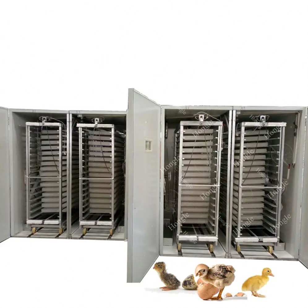 Hatching 100000 Poultry 500800 5280 1000 Dual Power Automatic Incubator And Hatcher Chicken 2000 Eggs Duck Egg Incubators 1056