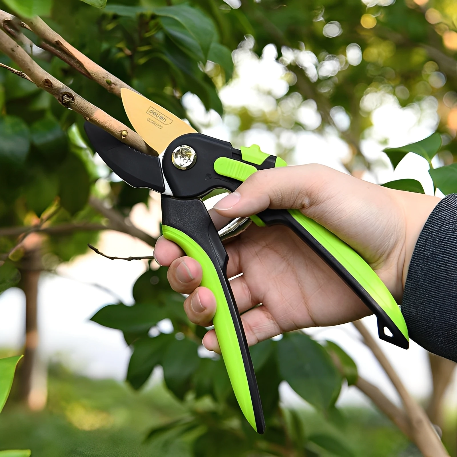 Cesoie da potatura da giardino di livello industriale Strumenti Taglierina da giardinaggio per risparmiare manodopera Strumenti per potatura per la raccolta di frutta in vaso per la casa