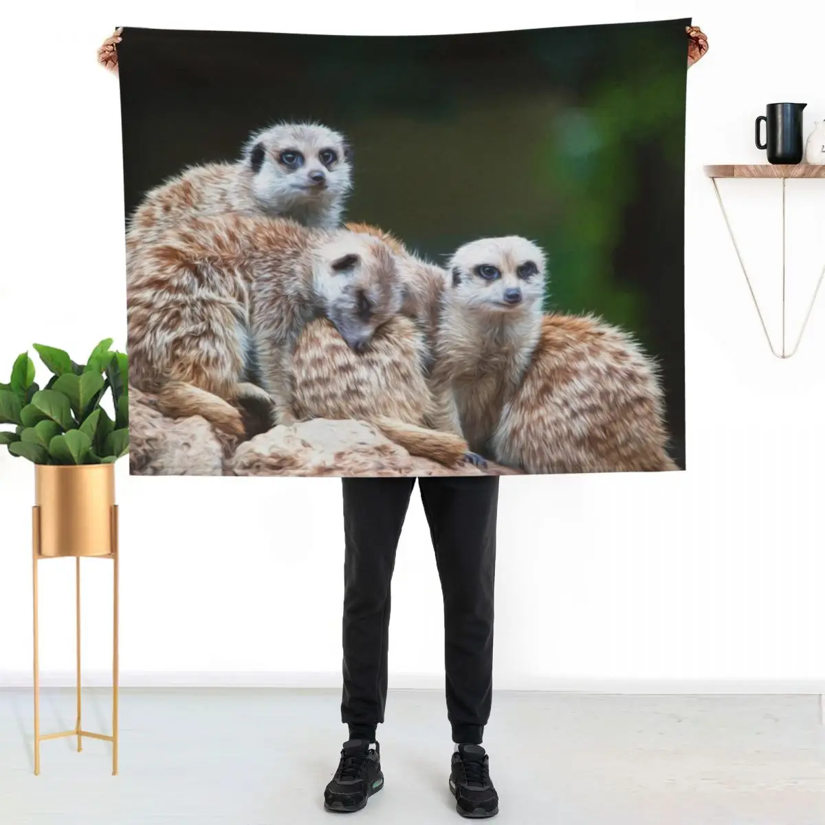 Meerkat Family(digital painting) Throw Blanket valentine gift ideas Loose Moving Luxury Designer Thins Blankets