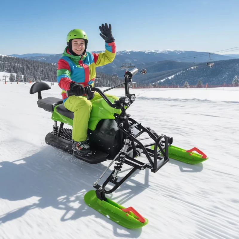 

all-terrain speed 30 km/h and -40 ° C operation Adults and children 2-seat 1000-watt electric snowmobile