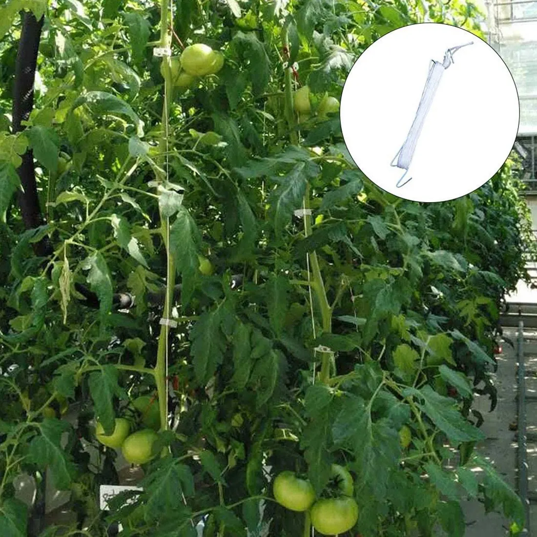 ETRT 10 قطع خطافات الطماطم المعدنية المضادة للسحق خطافات الحديقة خطاف الطماطم النباتية يدعم زراعة الطماطم والكرز ونباتات الكرمة وما إلى ذلك