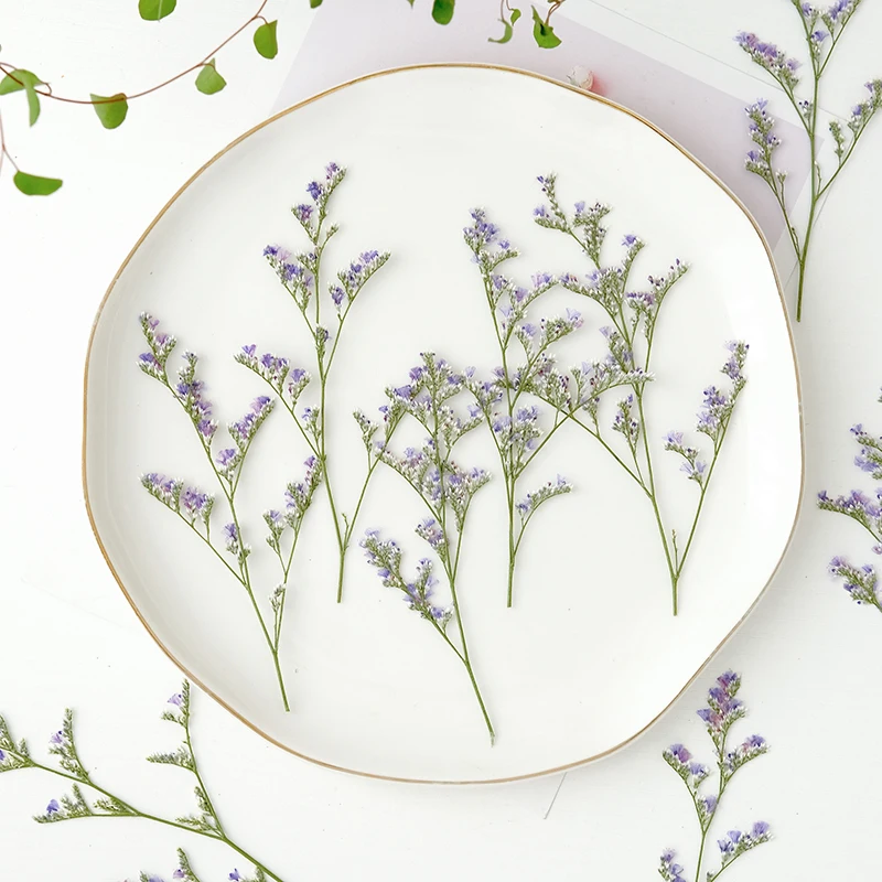 24 Stück/9–12 cm, Naturliebhaber, Gras, getrocknete Blumen, DIY-Grußkarte, Fotorahmen, Kleber, Handyhülle, handgefertigtes Lesezeichen, Maniküre-Material – Detail 1