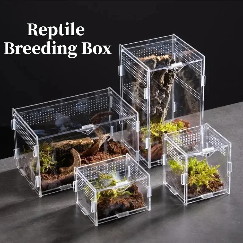 

Acrylic Transparent Reptile Breeding Box Lizards Jumping Spiders Reptiles Habitat Stackable Reptiles Feeding Tanks Spider Cages