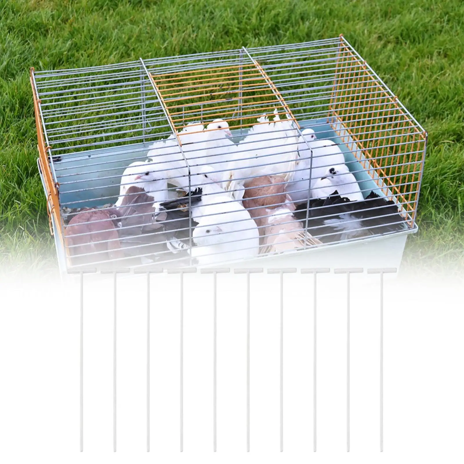 Barra de entrada tipo T desmontable para jaulas de pájaros y palomas - imagen 3