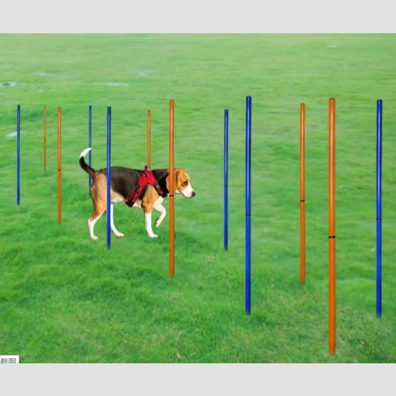 

Cheaper Plastic Pet Dog Agility Training Equipment Weave Pole Slalom Dog Sports Outdoor