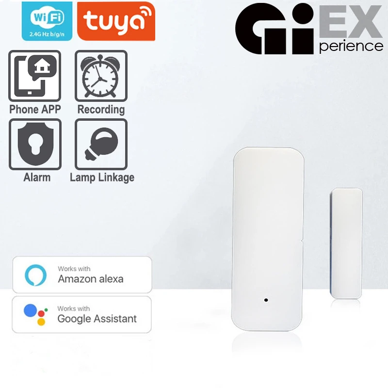 Interruttore magnetico WIFI Sensore porta Controllo APP Allarme di sicurezza porta Interruttore magnetico Finestra wireless Alexa Google Home