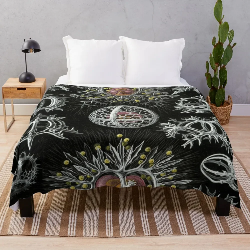 

Haeckel Stephoidea Drawings Throw Blanket blankets and throws Plaid Blankets