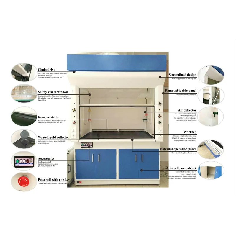 Europe Design and Configuration Cheap Lab Equipment Lab Fume Hood