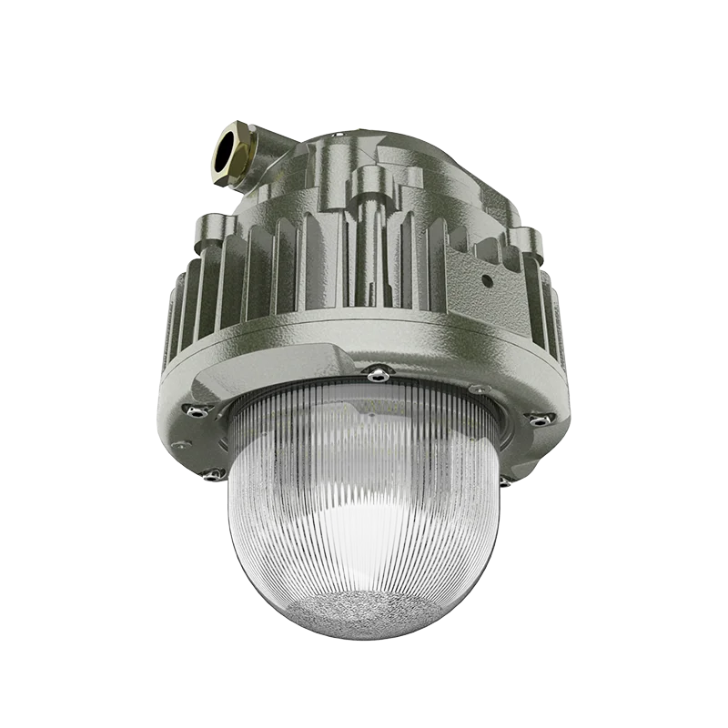 ATEX Explosion Proof Hanging Lamp (Long) With Guard 50W 5700K