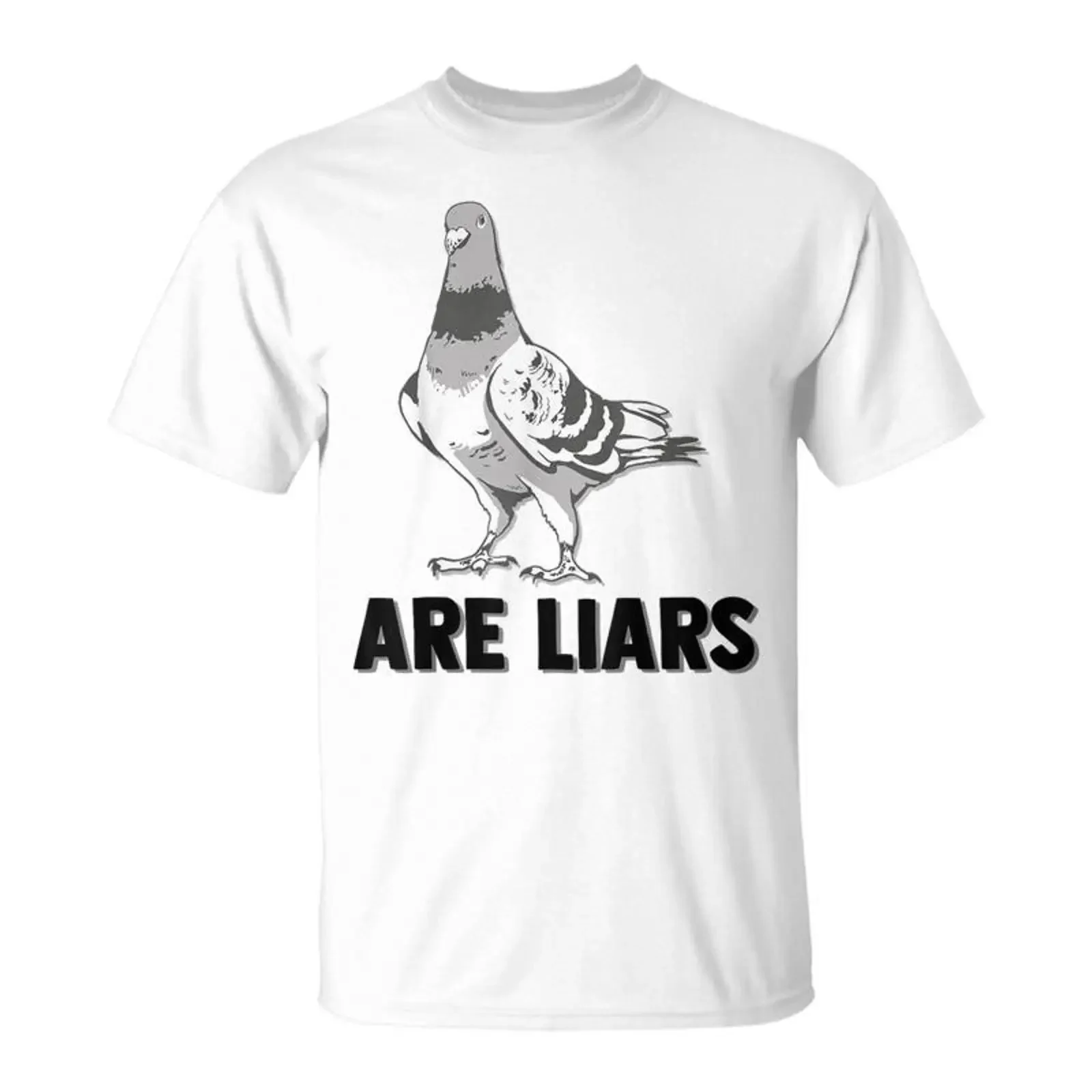 Pigeons Are Liars Aren't Real Spies Birds Pun T Shirt Monsterry vintage Washed Unisex designer clothes Comfortable Slightly