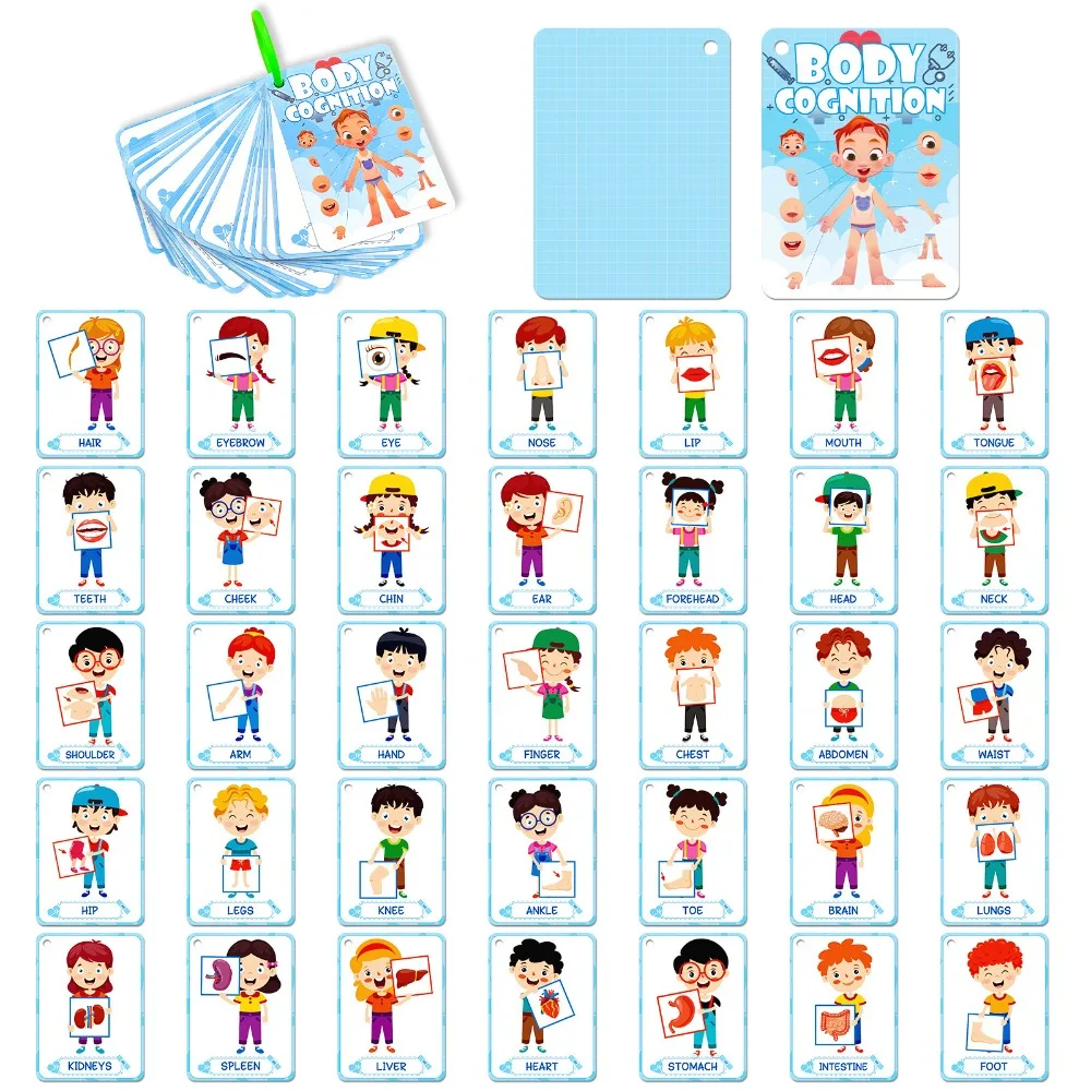 

36 Viral Body Cognition Cards Hot Selling Enlightenment Educational Puzzle Learning Parent Child Interactive Fun Useful Engaging